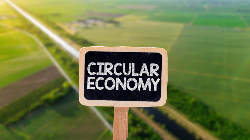 Luciano Guimaraes Tebar mostra como a economia circular abre caminhos para investimentos sustentáveis e lucrativos.