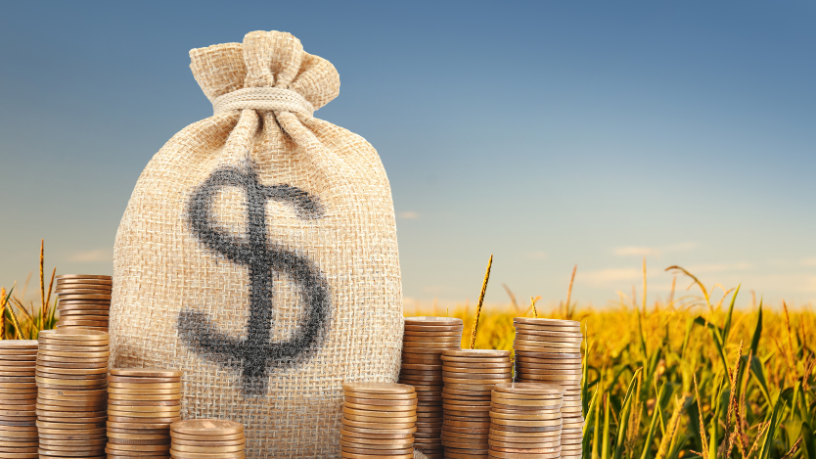 Crédito sustentável ampliando investimentos no campo com Aldo Vendramin.