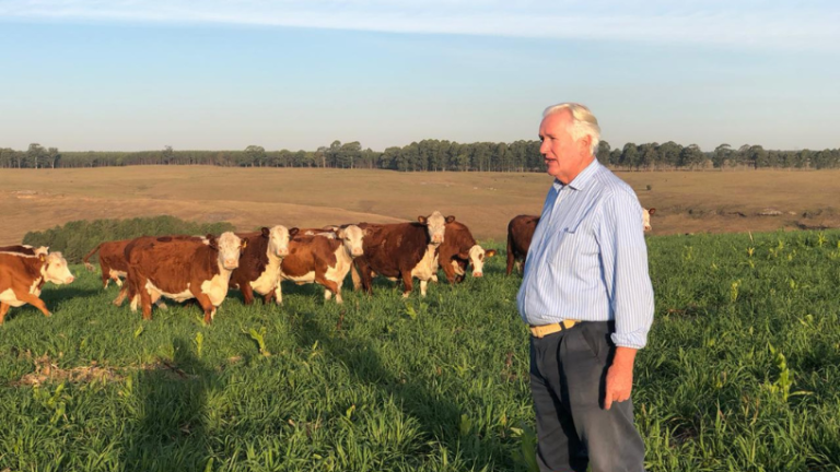 Finanças verdes no agronegócio: Como o crédito sustentável está redefinindo o acesso a investimentos no campo Aldo Vendramin analisa as finanças verdes no agronegócio e o crédito sustentável.