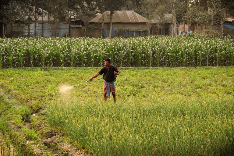 Agricultor aplica pesticida com um pulverizador em uma plantação verde.